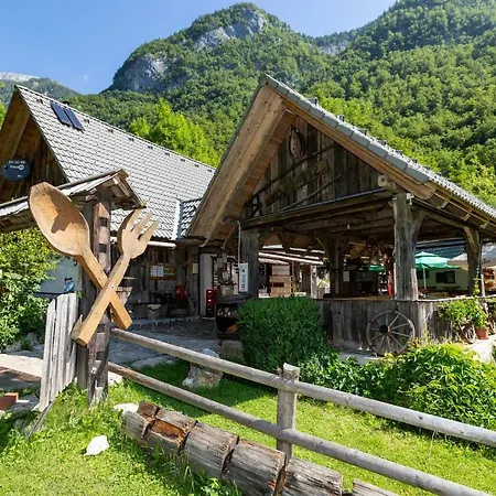 Апартаменты Apartma Waterfall Slap Бохинь